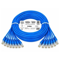 Molex Patch Cord BLUE 5 METER